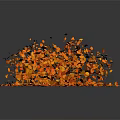 Vibrant Autumn Orange Yellow Falling Leaves Scattered On Dark Background