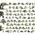 Various Bonsai Trees Collection With Different Shapes And Styles For Garden Design