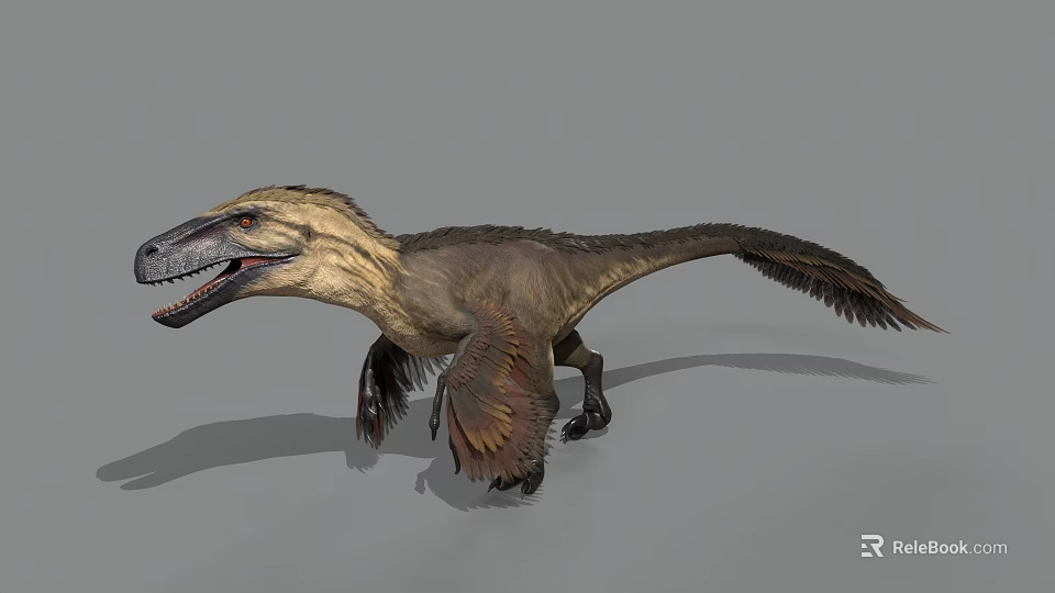 Feathered Dinosaur 3D Model With Open Mouth And Extended Wings Standing Pose 3d model 
