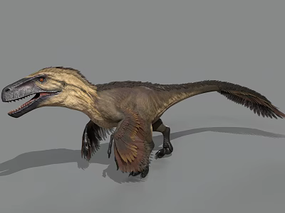 Feathered Dinosaur 3D Model With Open Mouth And Extended Wings Standing Pose 3d model