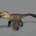 Feathered Dinosaur 3D Model With Open Mouth And Extended Wings Standing Pose