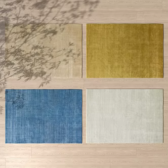 Plain Minimalist Carpet Combination 3d model
