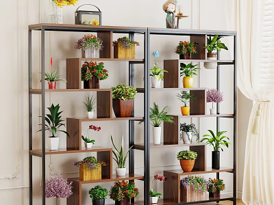 Indoor Decorative Bonsai and Various Potted Plants on Multi tiered Metal Shelves 3d model