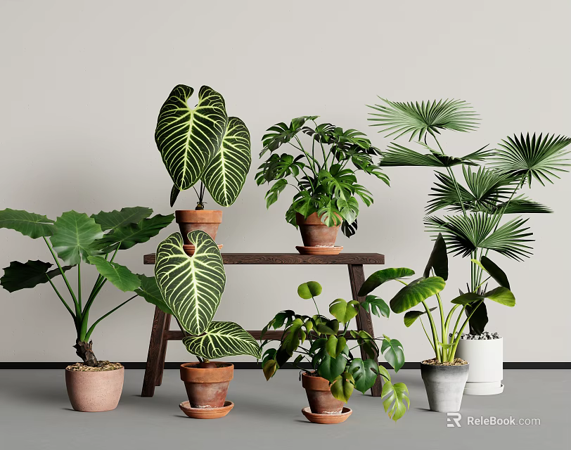 Indoor Potted Plants with Monstera Pothos Palm Leaves in Terracotta White Planters on Wooden Stand 3d model 
