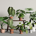 Indoor Potted Plants with Monstera Pothos Palm Leaves in Terracotta White Planters on Wooden Stand