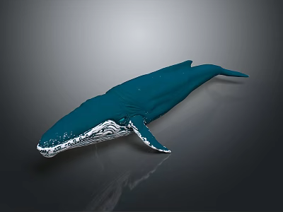 Blue Whale Marine Animal With Deep Blue Color And Smooth Surface Isolated On Gray Background 3d model