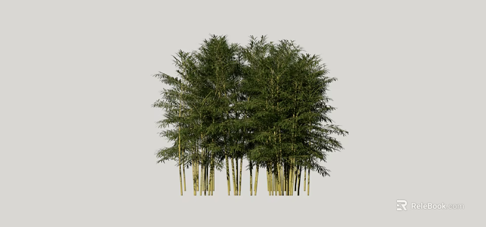 Tall Bamboo Trees With Lush Green Leaves And Slender Trunks Growing Together 3d model 