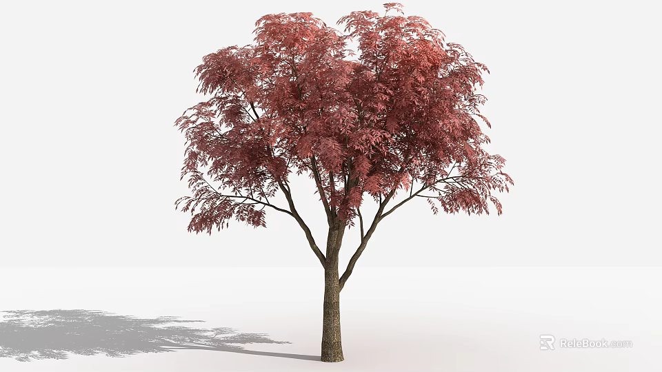 Red Leaf Tree With Brown Trunk And Lush Foliage In White Background 3d model 