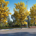 Scenic Landscape Walls Surrounded by Autumn Yellow Trees Pedestrians and Street Lamps in Green Space