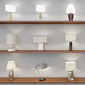 Various Table Lamps Featuring Different Designs Placed On Wooden Shelves 3d model
