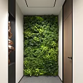 Lush Indoor Living Plant Wall With Diverse Greenery For Modern Hallway Decor