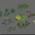 Assorted Grasses and Shrubs in Various Sizes Shapes and Foliage Colors