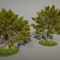 Three Green Trees with Lush Leaves and Brown Trunks on Grass Patches Against Gray Background