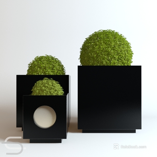 Stylish Bonsai Plants in Black Square Pots with Round Green Foliage 3d model 