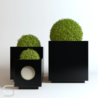 Stylish Bonsai Plants in Black Square Pots with Round Green Foliage 3d model