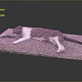 Black White And Brown Cat Lying Stretched Out On Pebble Covered Mat With Gray Background