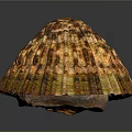 Beautiful Marine Limpet Shell With Brown Yellow Stripes And Textured Surface