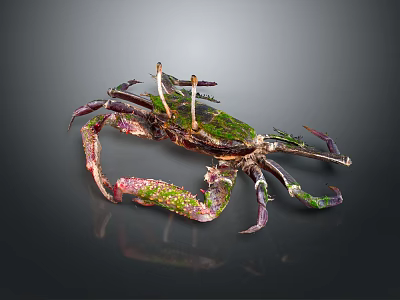 Detailed Artistic Crab With Green Shell And Purple Spotted Legs 3d model