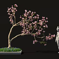 Bonsai Plant With Pink Blossoms And Elegant Branches In Decorative Square Pot With Stone Statue