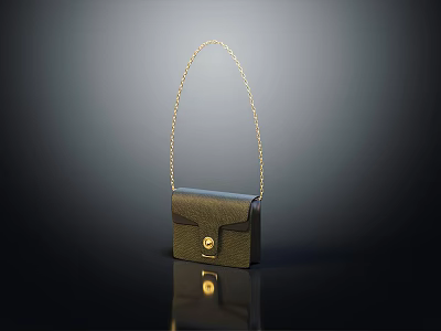 Small Leather Crossbody Bag With Gold Chain Strap And Metal Clasp On Reflective Surface 3d model