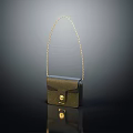 Small Leather Crossbody Bag With Gold Chain Strap And Metal Clasp On Reflective Surface