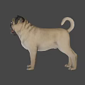 Pug Game Movie Character 3D Model Standing Pose In Light Blue Background