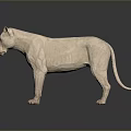 Low Poly White Lion Model Standing On Dark Background With Reflection