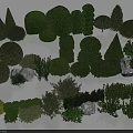 Various Shaped Pruned Shrubs In Different Sizes For Landscape Design With Stones
