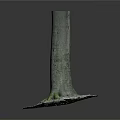 Natural Tree Stump Decor With Exposed Roots And White Gravel Base