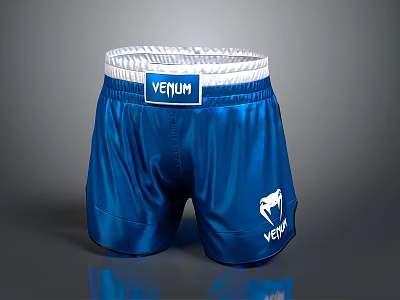 Modern Shorts Sports Shorts 3d model Modern Shorts Sports Shorts 3d model