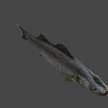 Game Movie Character Silver Fish With Realistic Design And Large Eyes