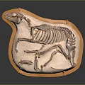 Fossilized Prehistoric Animal Organ Skeleton With Orange Slab Base And Bone Structure