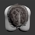 Game Movie Character 3D Head Model With Brown Short Hair Stylized Design