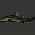 Brown Shark 3D Model with Fins on Gray Background and Reflection 3d model