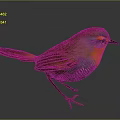 Small Brown Bird with Orange Chest Black Eyes and Pointed Beak Standing on Gray Surface