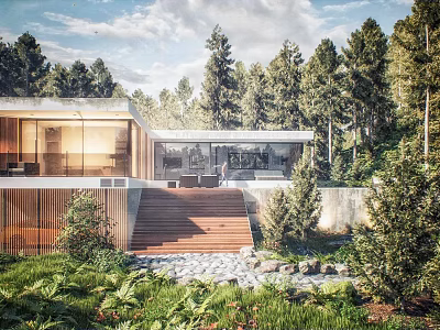 Modern Detached House In Forest Setting With Wooden Steps Large Windows And Open Terrace 3d model