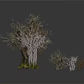 Leafless Trees with Various Colored Trunks Green Bases in Dark Background and Reflections