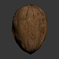Fresh Whole Walnut With Natural Textured Shell On Dark Background
