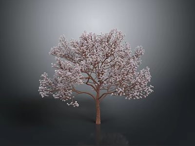 White Covered Tree With Brown Trunk Against Gray Background And Reflection On Dark Ground 3d model