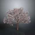 White Covered Tree With Brown Trunk Against Gray Background And Reflection On Dark Ground 3d model
