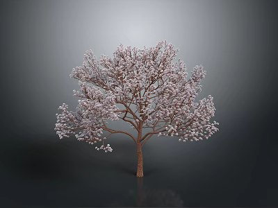 Apricot Blossom Trees Bare Branches Gray Background Realistic Trees Trees 3d model