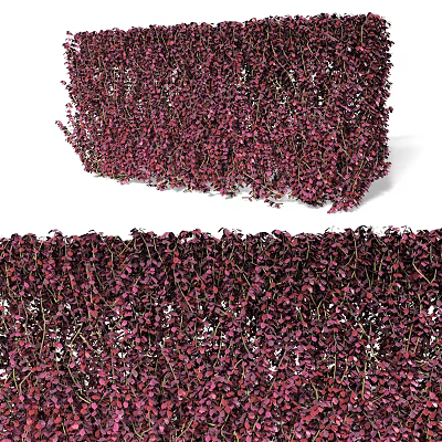 Dense Purple Leaf Shrub With Lush Foliage For Garden Landscaping And Privacy 3d model