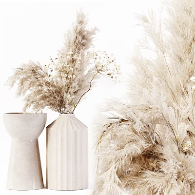 Neutral Tone Decorative Vases With Dried Pampas Grass And White Flowers For Home Decor 3d model