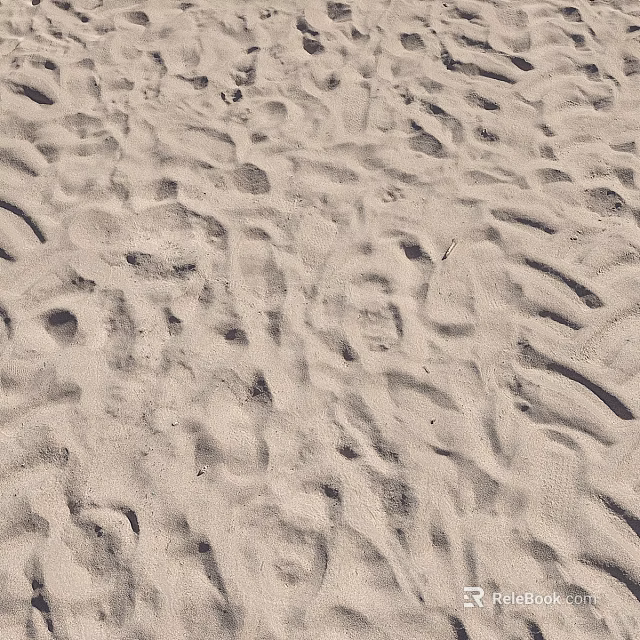 Natural Beach Sand Surface With Multiple Fresh Footprints And Textures 3d model 