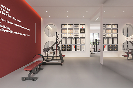 Modern Gym Private Teaching Room Fitness Equipment Honor Display Wall Sports Equipment 3d model