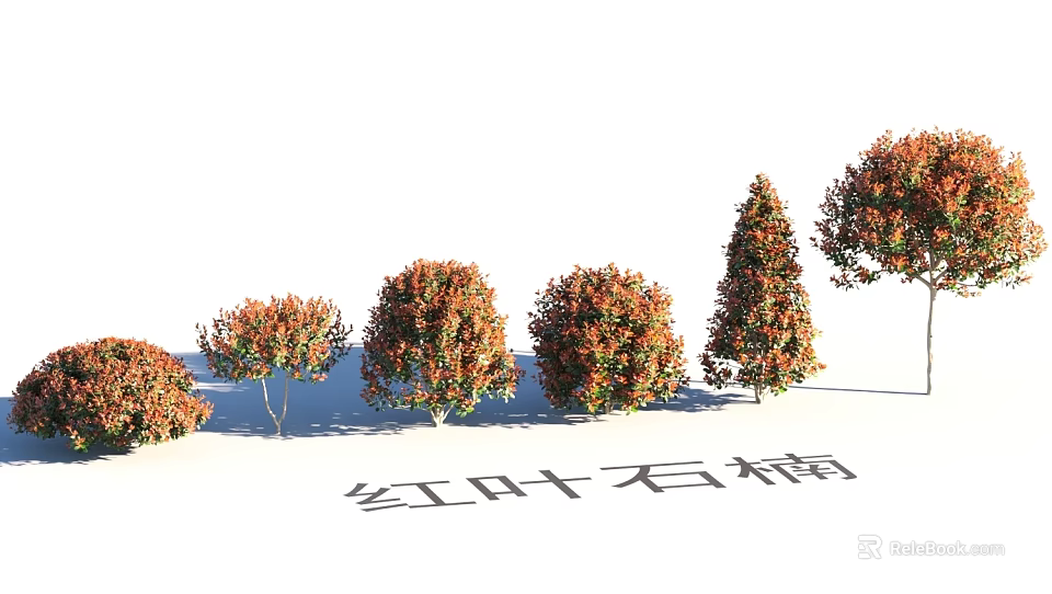 Garden Landscape Design Featuring Red Leaf Photinia Trees In Various Shapes And Sizes 3d model 