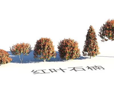 Garden Landscape Design Featuring Red Leaf Photinia Trees In Various Shapes And Sizes 3d model
