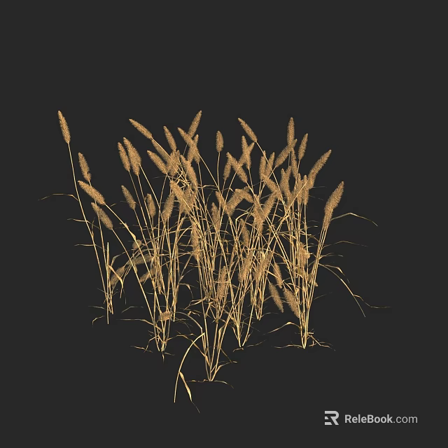 Decorative Golden Grass Floral Arrangement On Black Background For Home Decor 3d model 