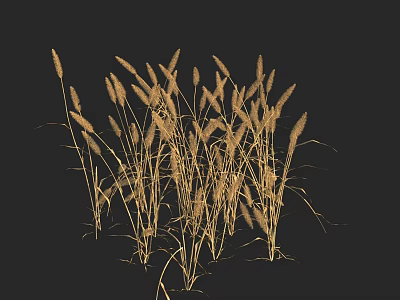 Decorative Golden Grass Floral Arrangement On Black Background For Home Decor 3d model