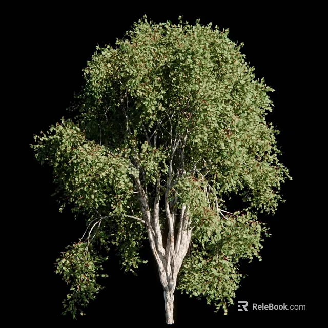 Lush Arbor Featuring Dense Green Foliage And Sturdy Trunk Structure 3d model 